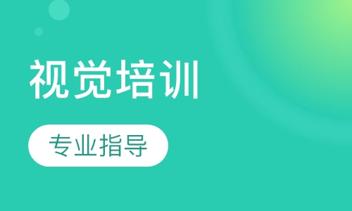 视觉培训